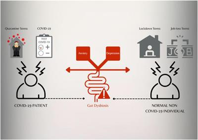 Impending Mental Health Issues During Coronavirus Disease 2019 – Time for Personalized Nutrition Based on the Gut Microbiota to Tide Over the Crisis?